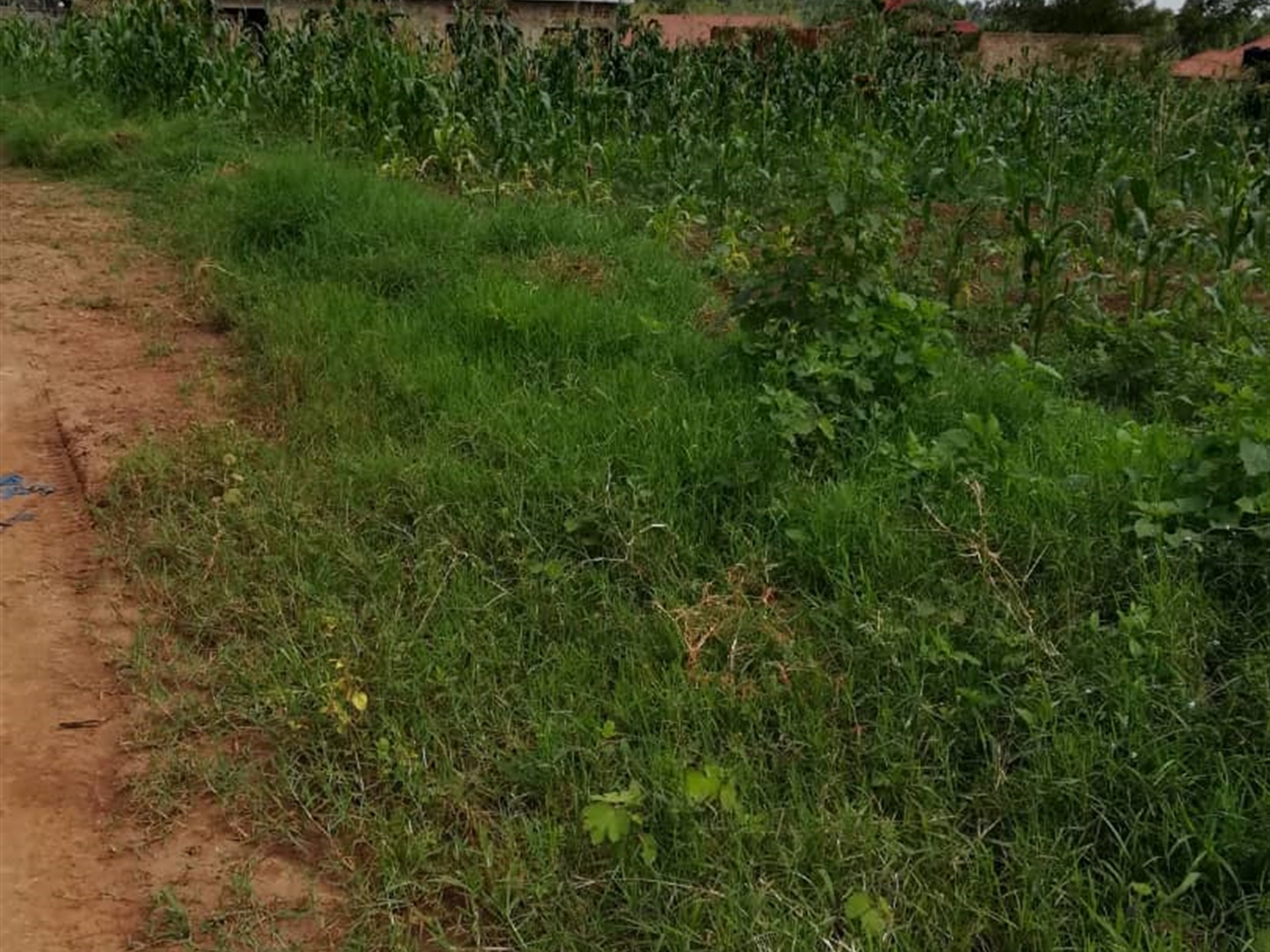 Residential Land for sale in Kawuga Mukono