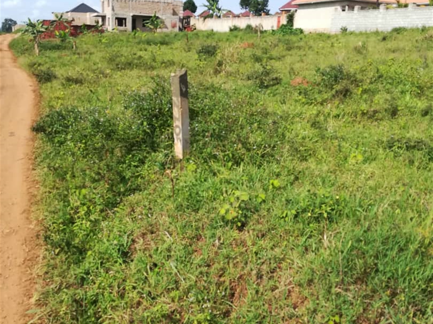 Residential Land for sale in Kawuga Mukono