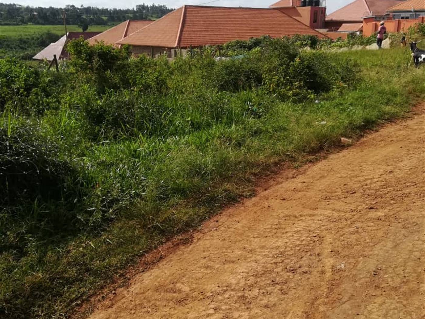 Residential Land for sale in Kawuga Mukono