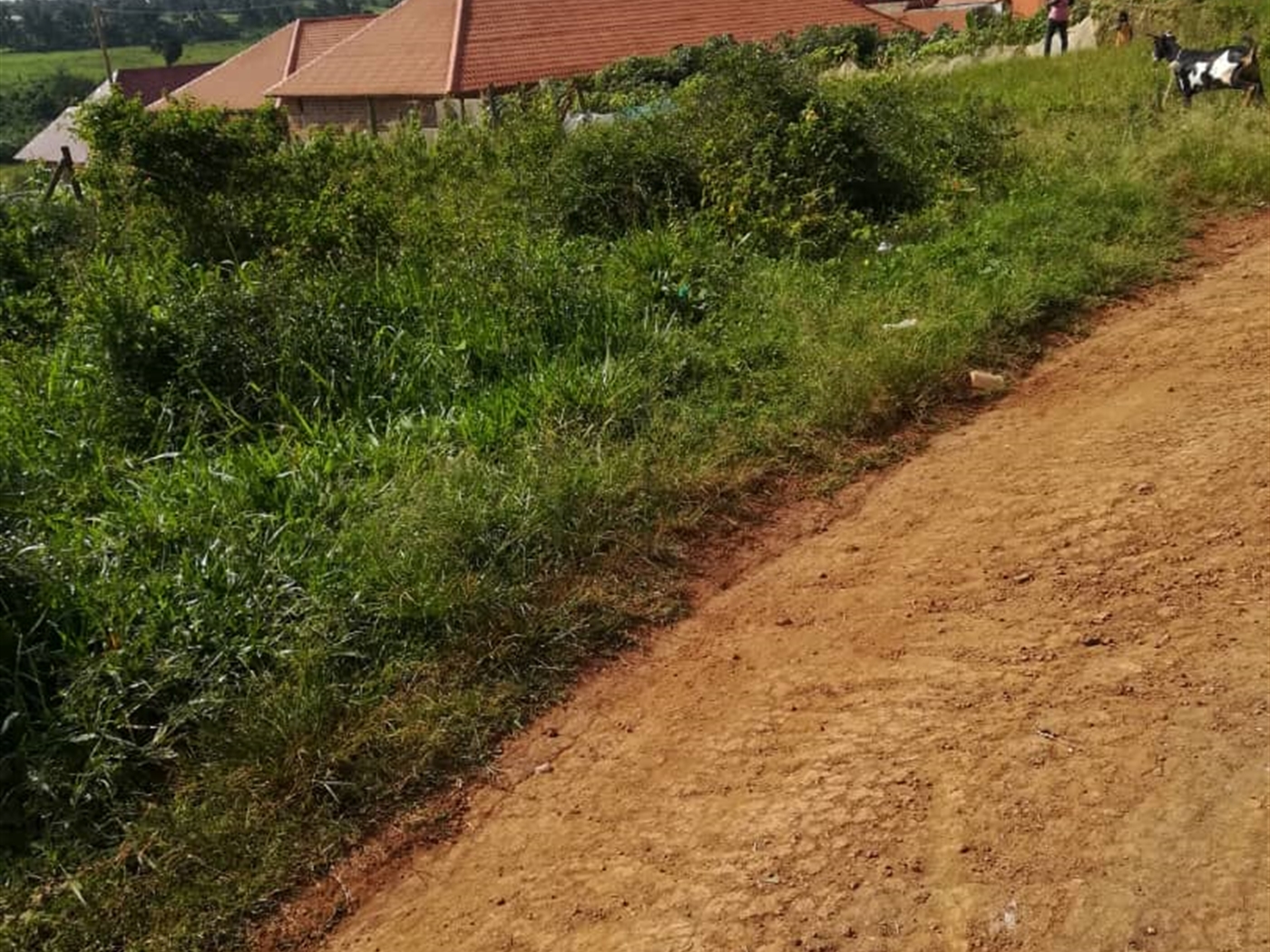 Residential Land for sale in Kawuga Mukono