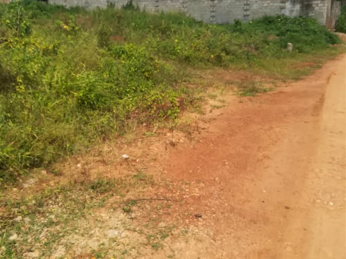 Residential Land for sale in Namilyango Mukono