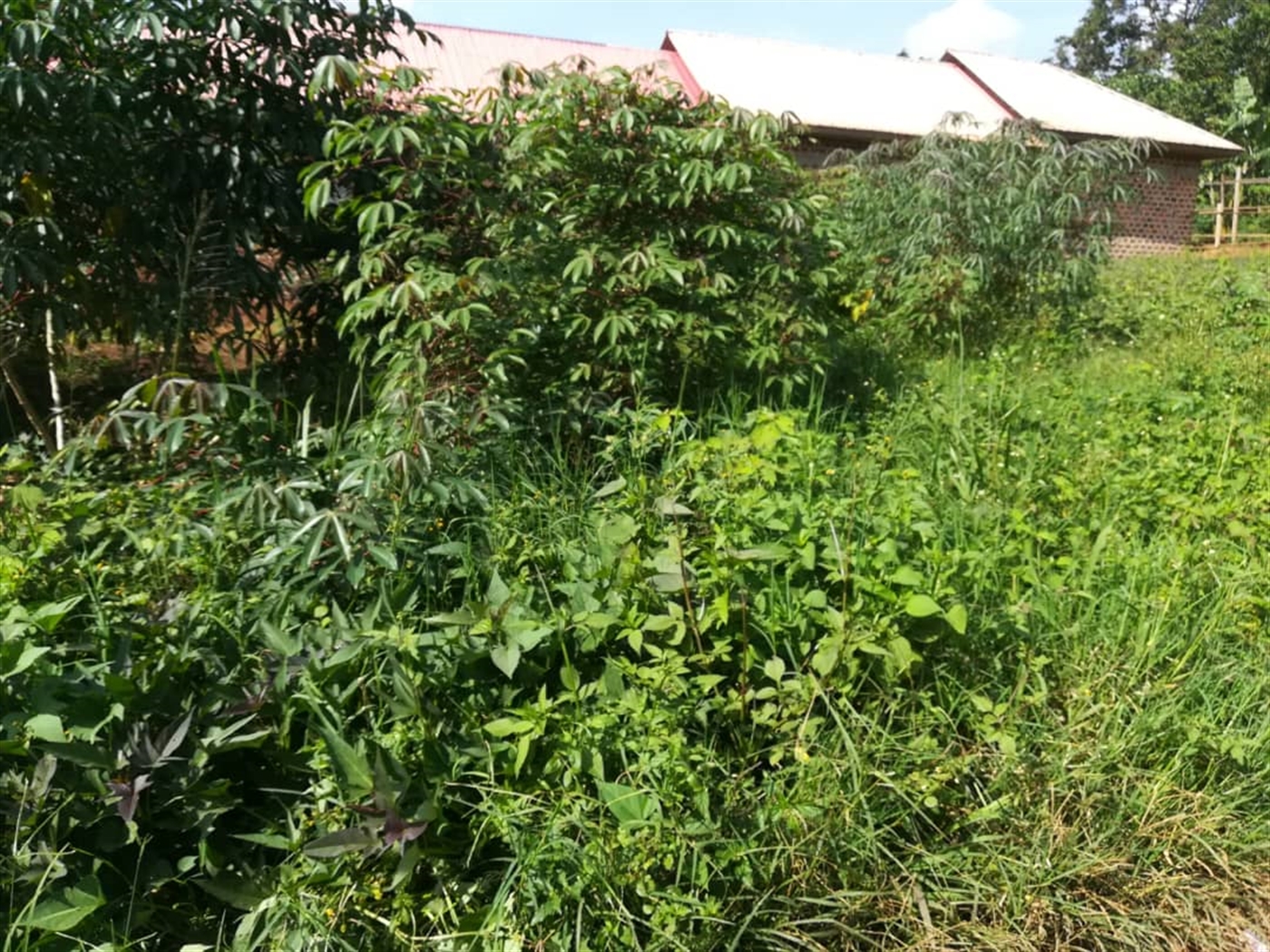 Residential Land for sale in Namilyango Mukono