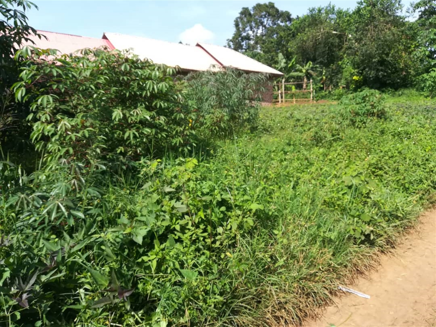 Residential Land for sale in Namilyango Mukono