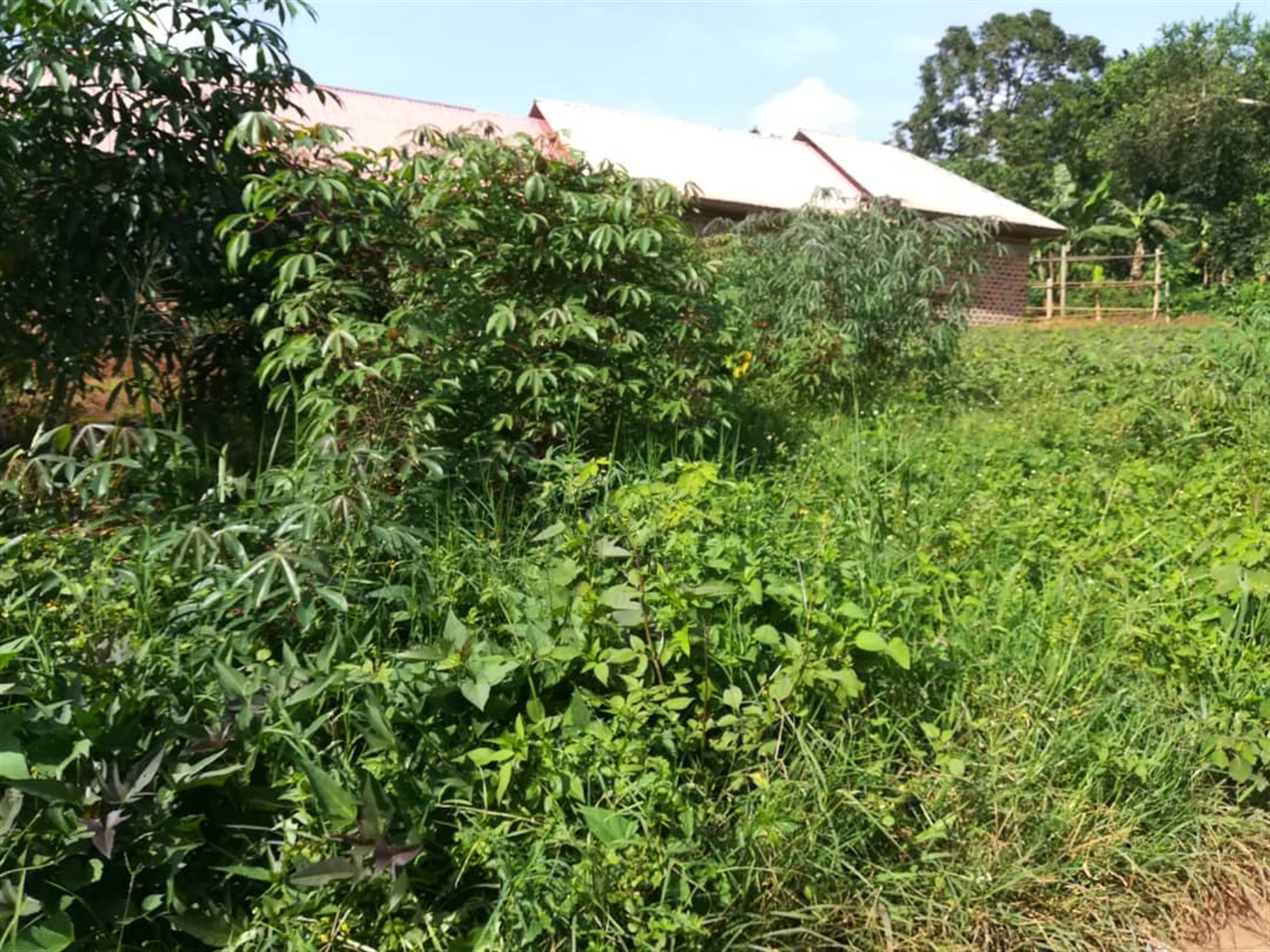 Residential Land for sale in Namilyango Mukono