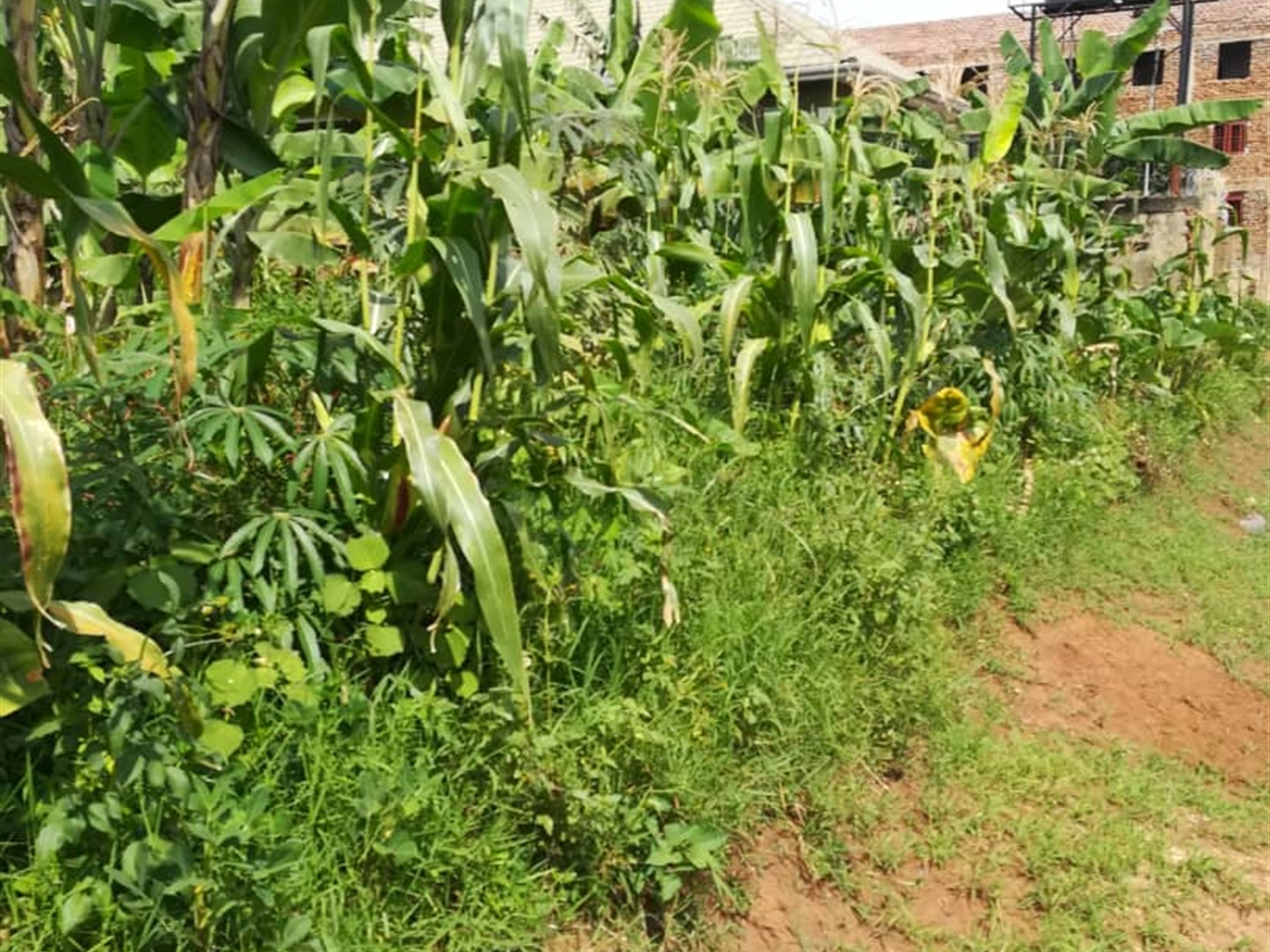 Residential Land for sale in Namilyango Mukono