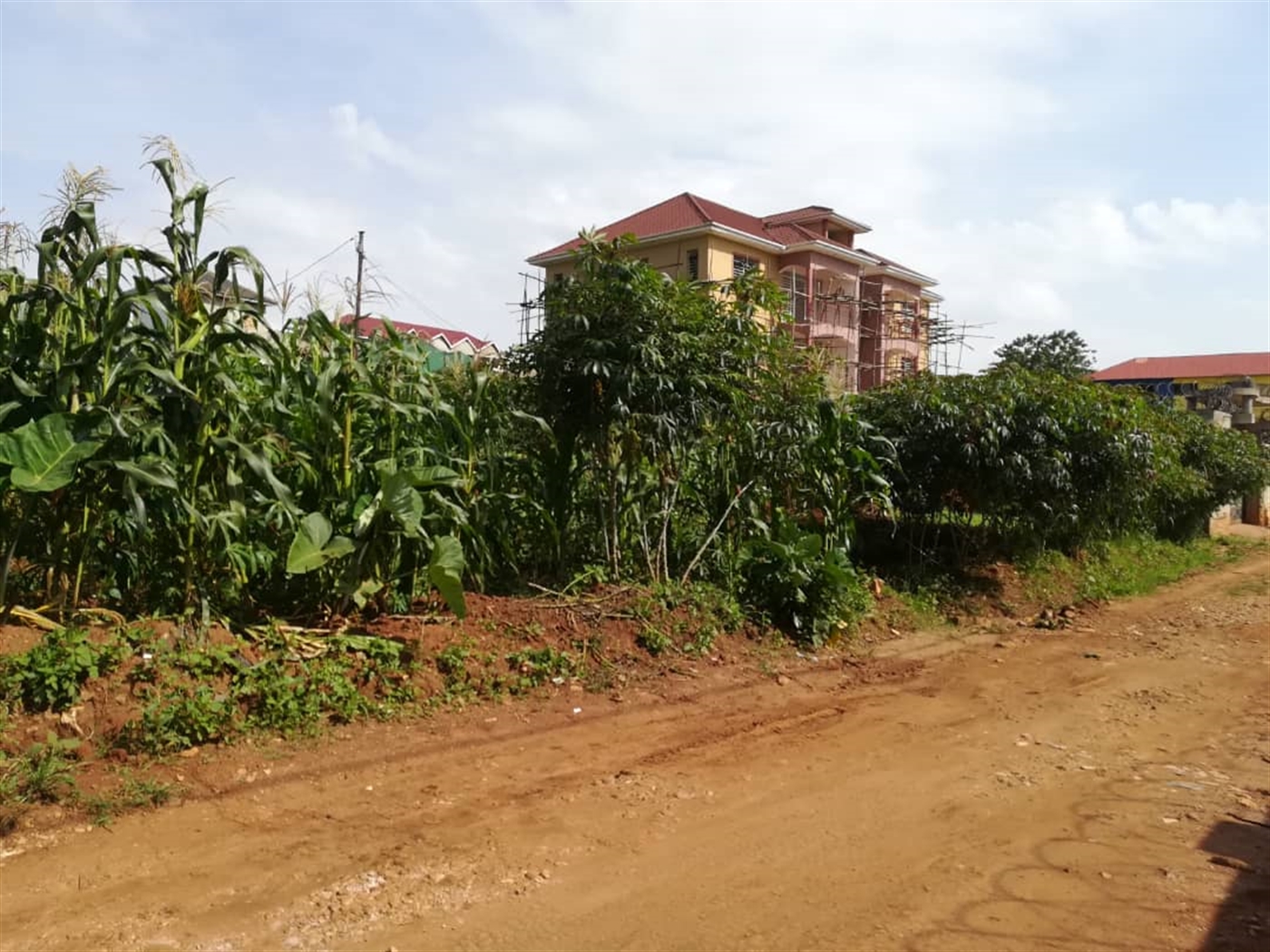 Residential Land for sale in Namilyango Mukono