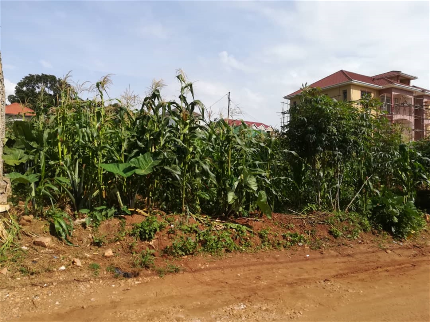 Residential Land for sale in Namilyango Mukono