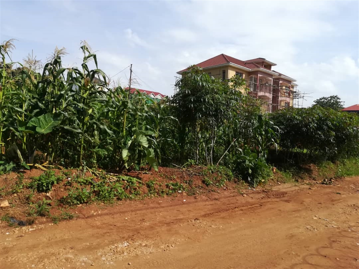 Residential Land for sale in Namilyango Mukono