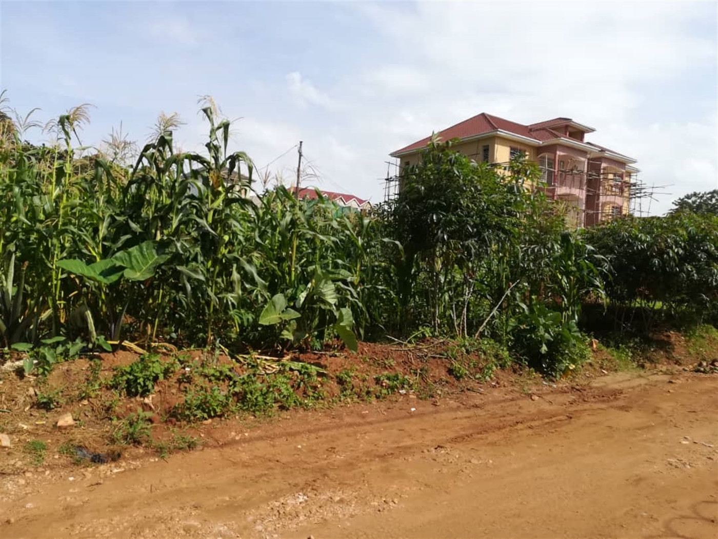 Residential Land for sale in Namilyango Mukono