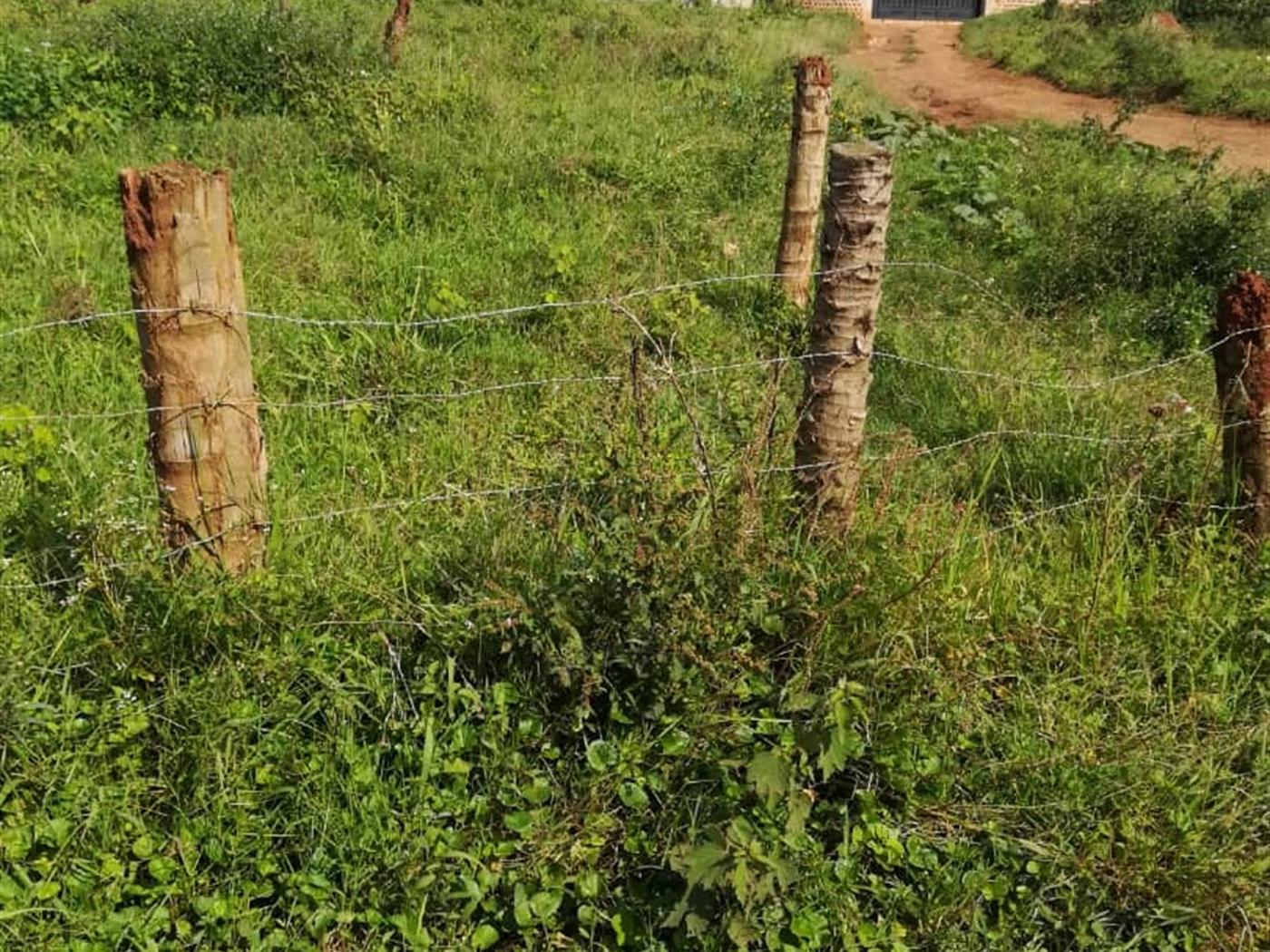 Residential Land for sale in Namilyango Mukono