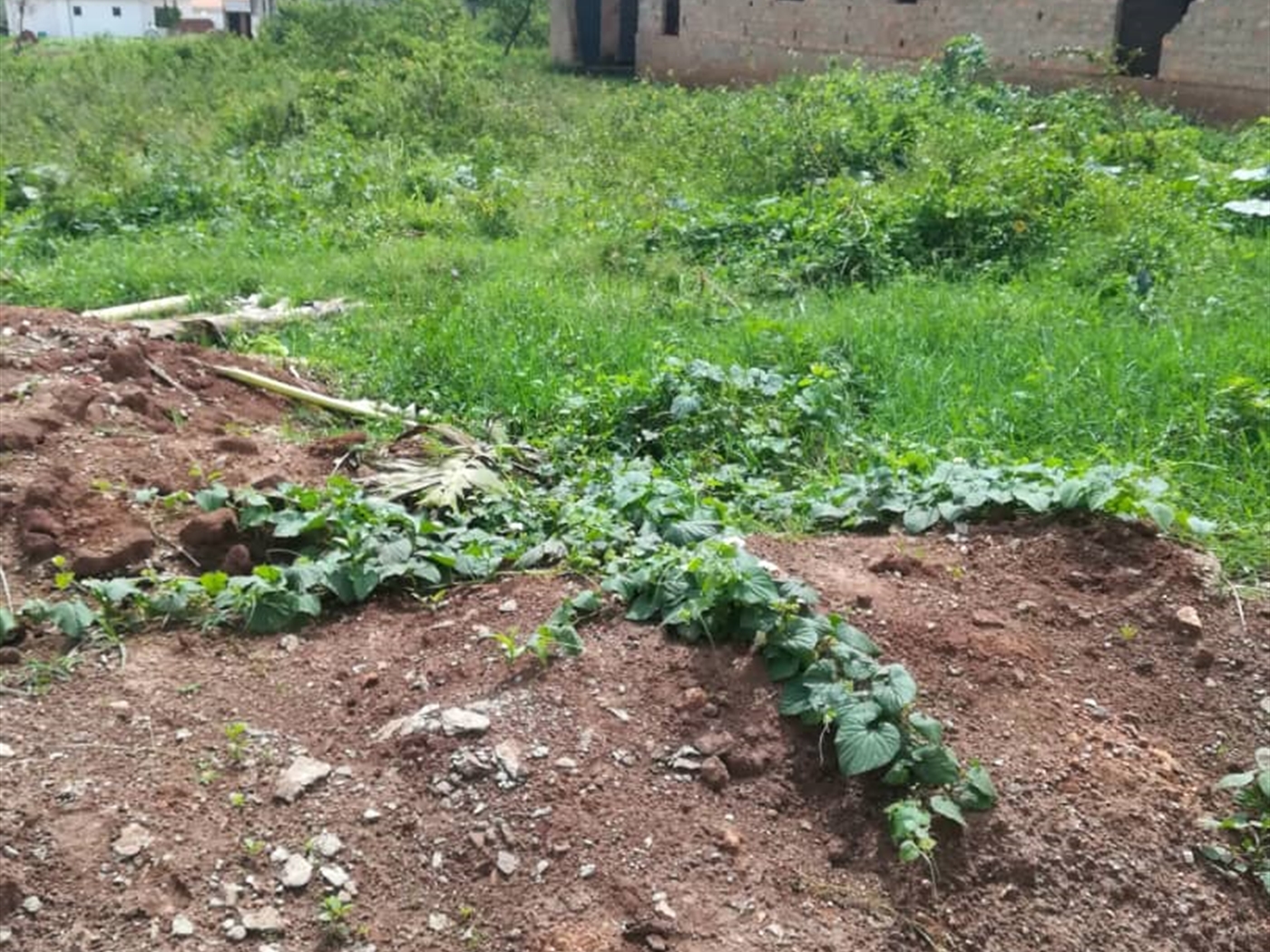 Residential Land for sale in Namilyango Mukono