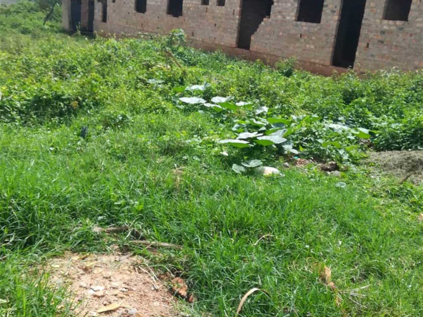 Residential Land for sale in Namilyango Mukono