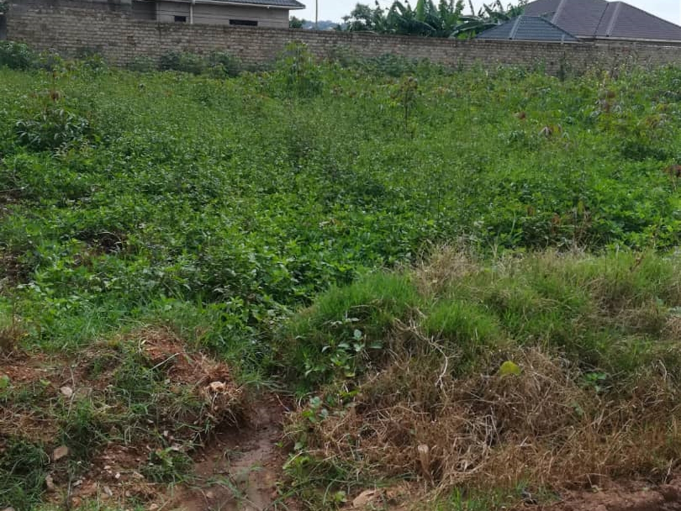 Residential Land for sale in Namilyango Mukono