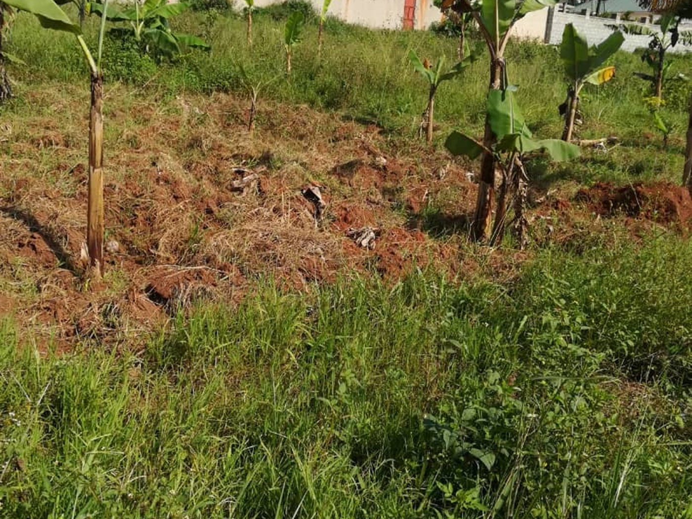 Residential Land for sale in Namilyango Mukono