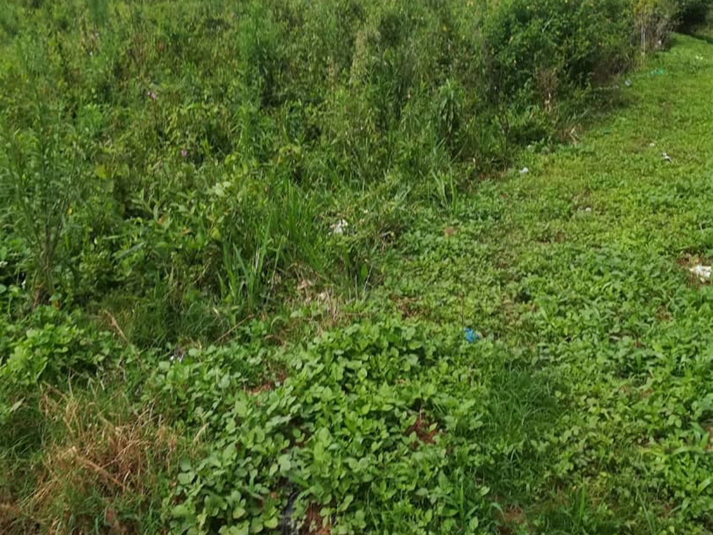 Residential Land for sale in Namilyango Mukono