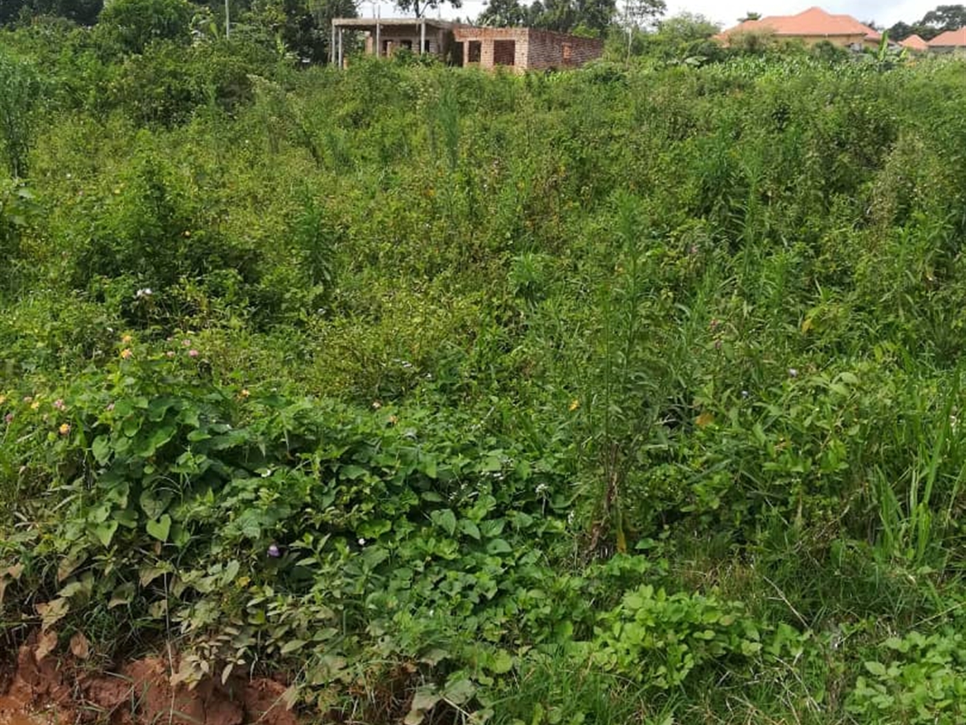 Residential Land for sale in Namilyango Mukono