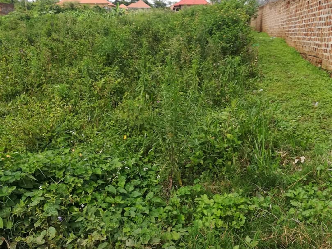 Residential Land for sale in Namilyango Mukono