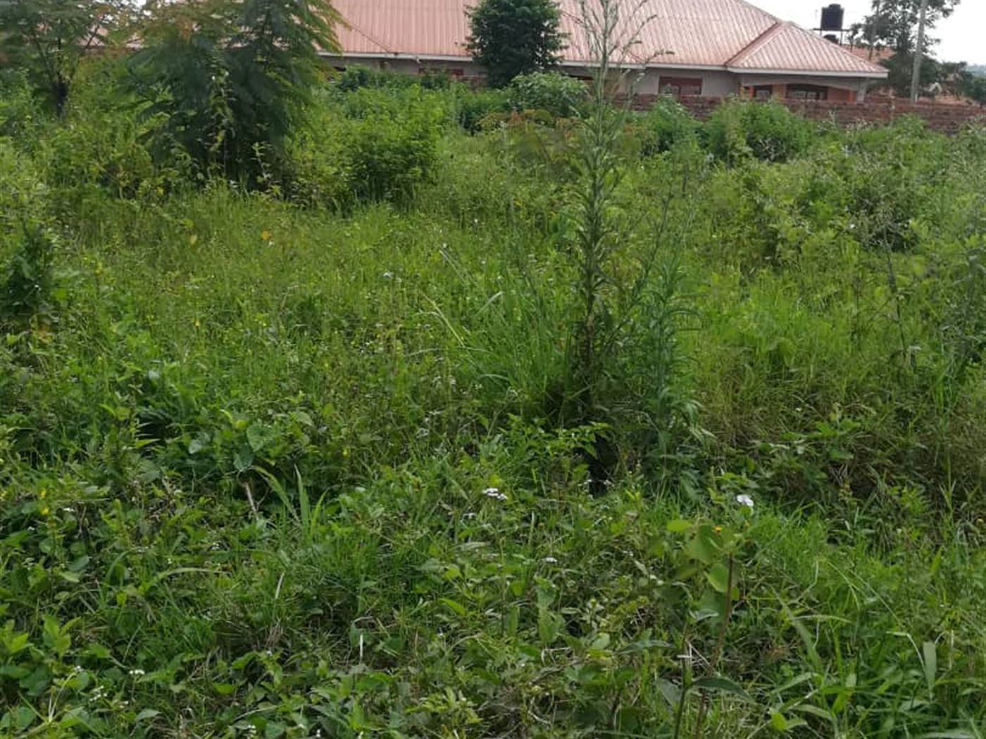 Residential Land for sale in Namilyango Mukono