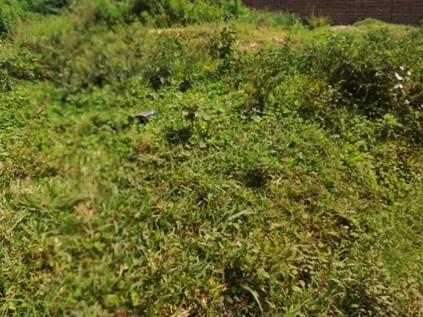 Residential Land for sale in Namilyango Mukono