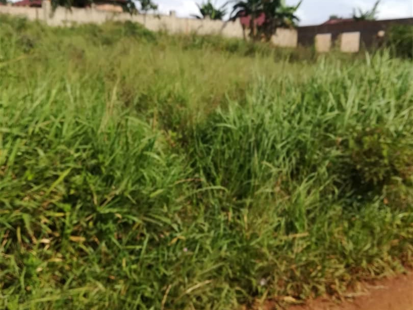 Residential Land for sale in Kilowooza Mukono