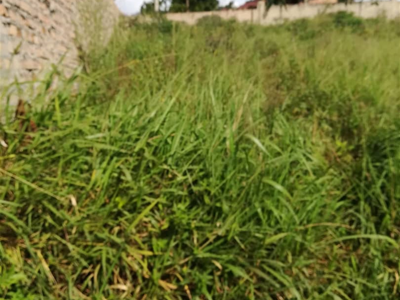 Residential Land for sale in Kilowooza Mukono