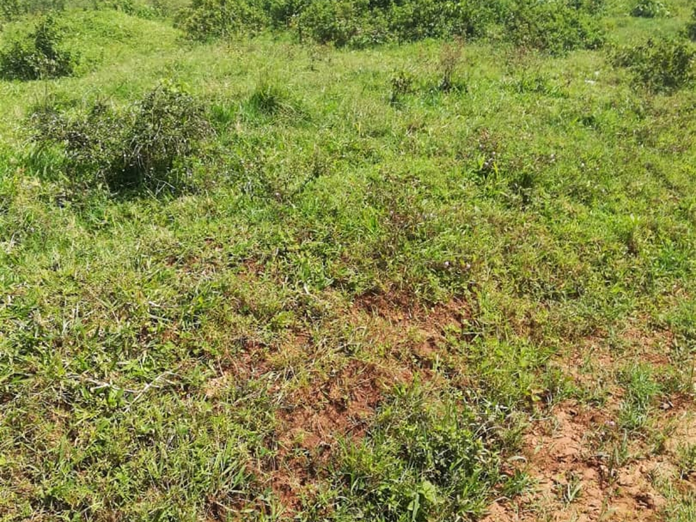 Residential Land for sale in Kilowooza Mukono