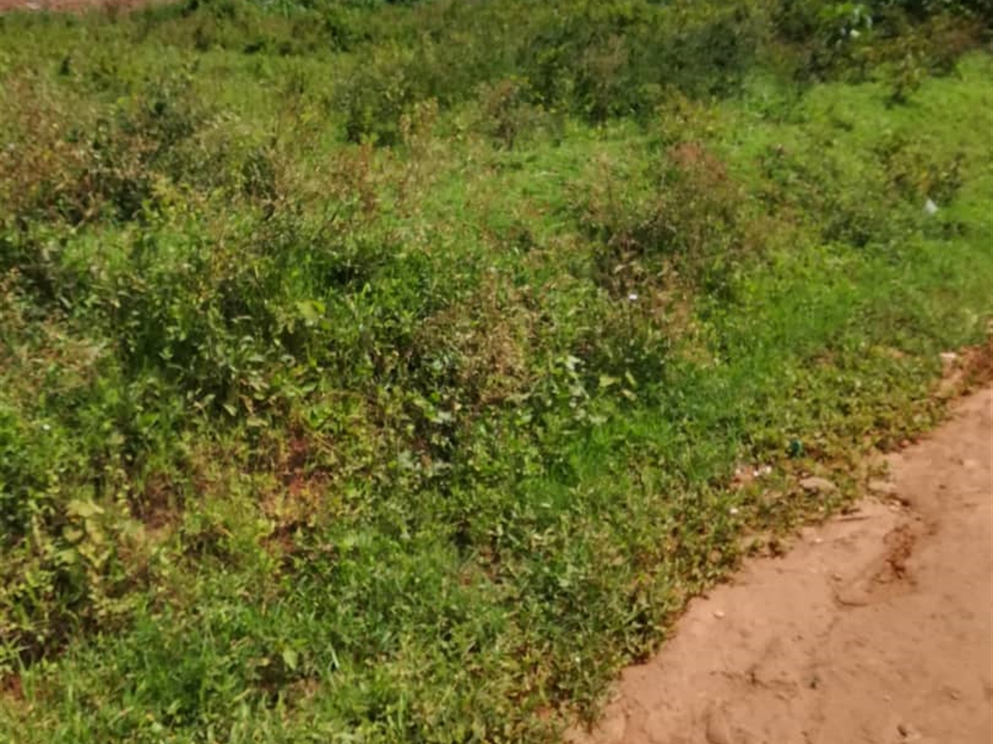 Residential Land for sale in Kilowooza Mukono