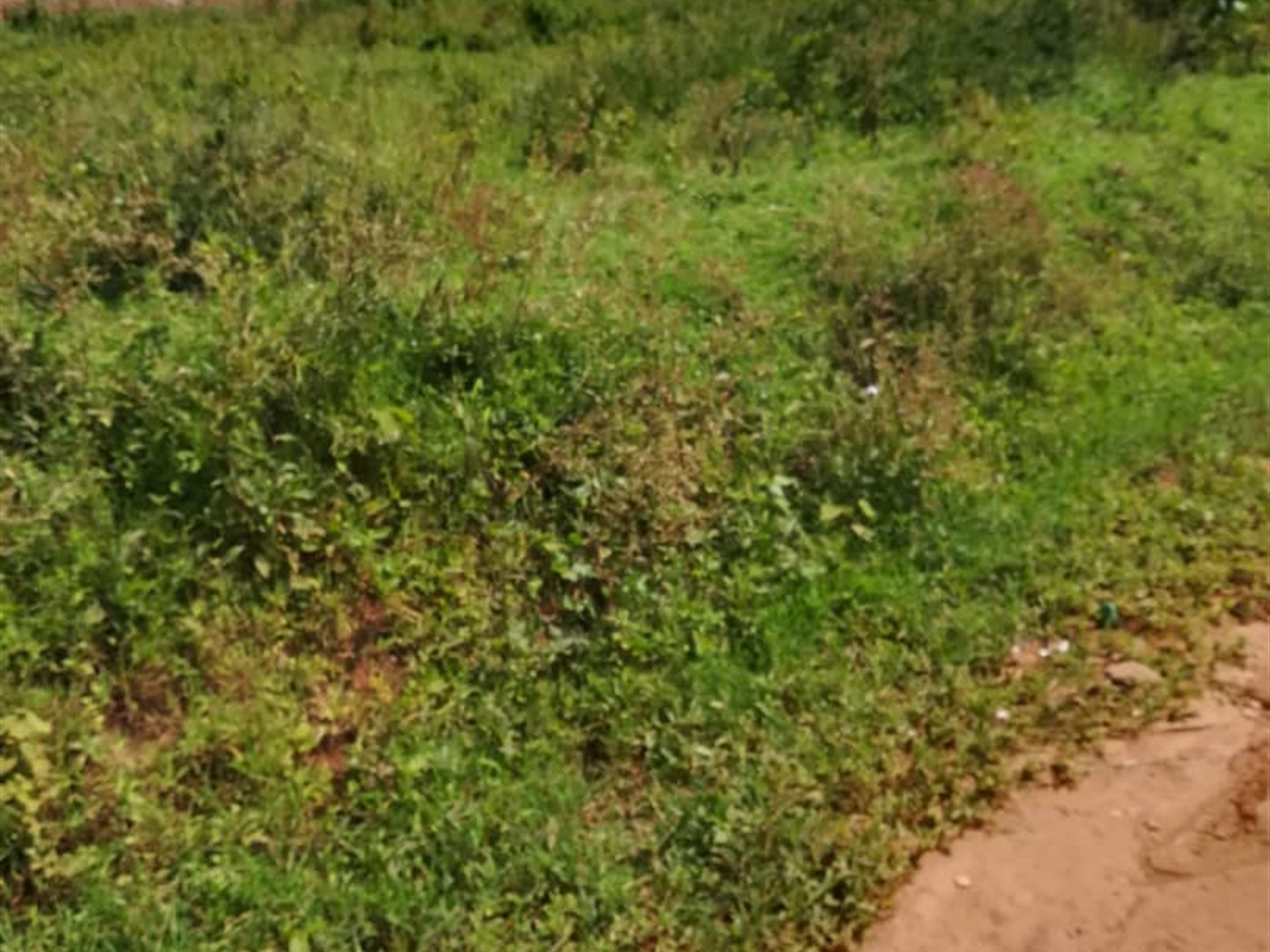 Residential Land for sale in Kilowooza Mukono