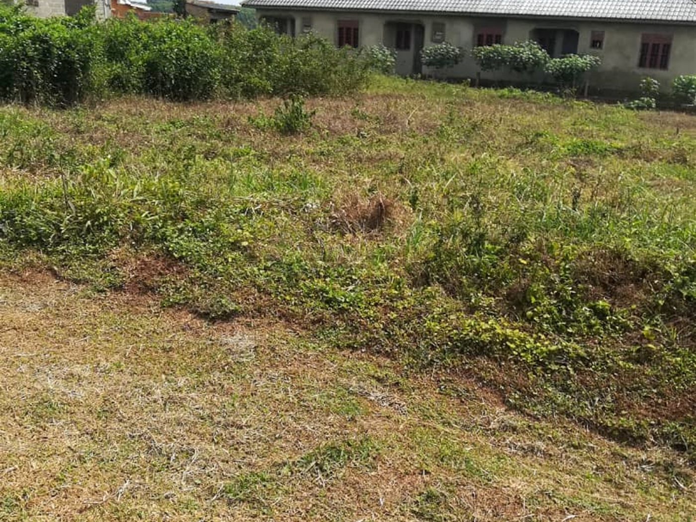 Residential Land for sale in Kilowooza Mukono