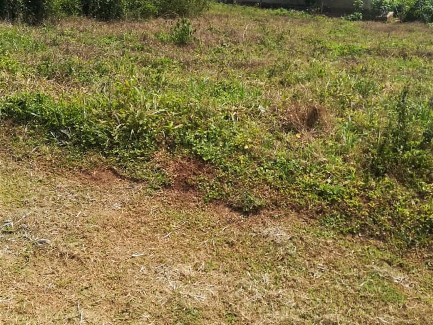 Residential Land for sale in Kilowooza Mukono