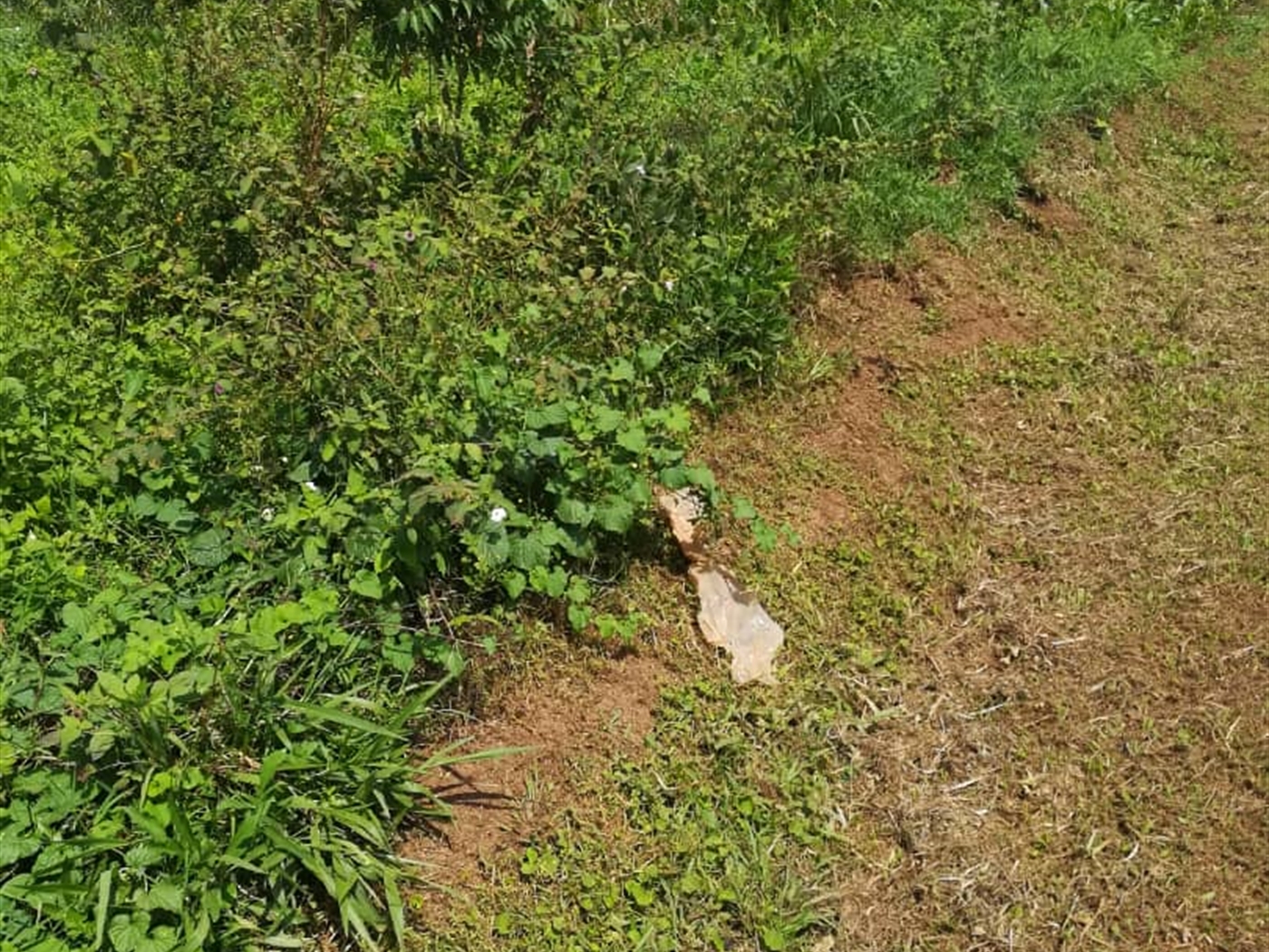 Residential Land for sale in Kilowooza Mukono