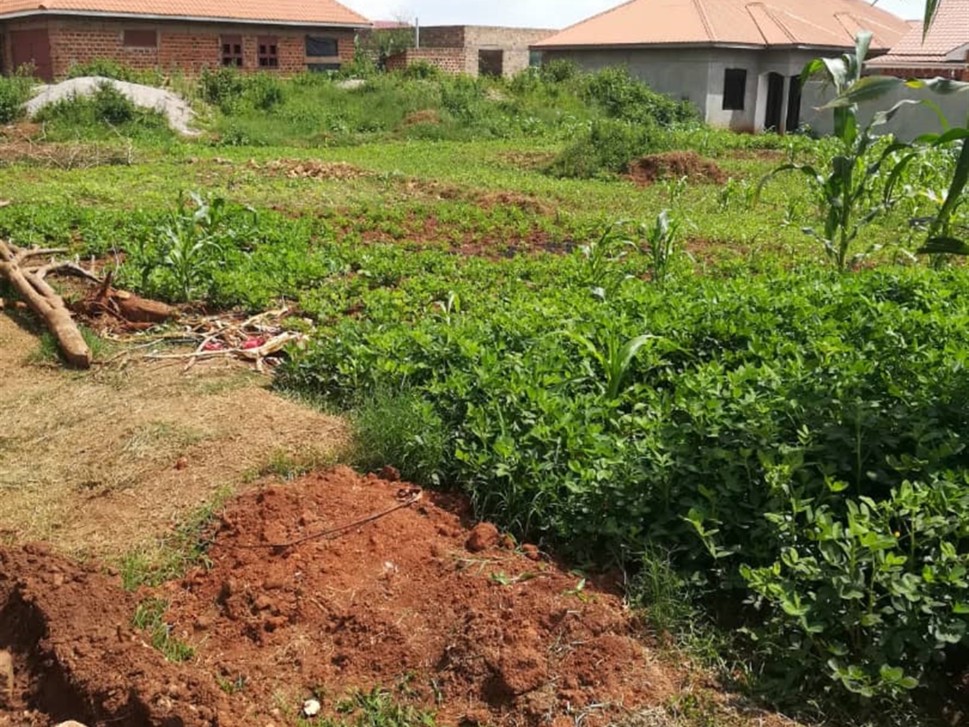 Residential Land for sale in Kilowooza Mukono