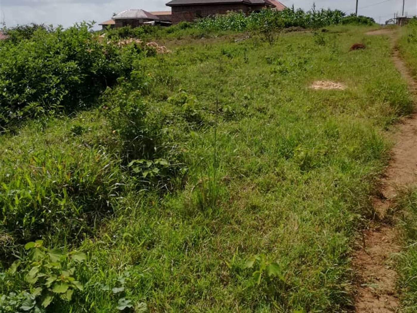 Residential Land for sale in Kilowooza Mukono