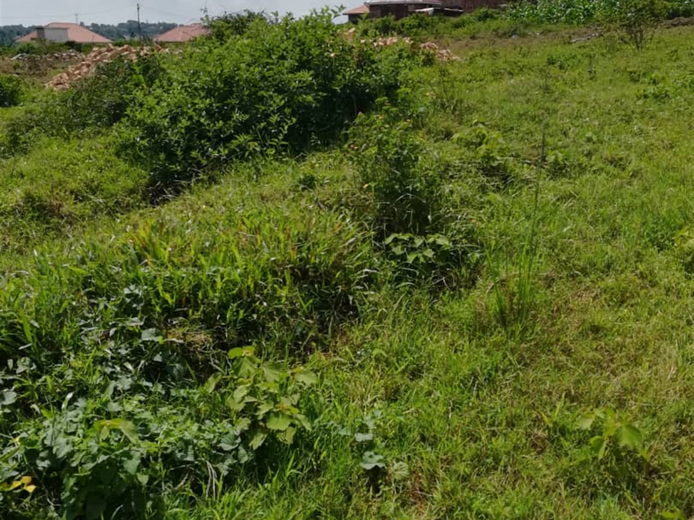 Residential Land for sale in Kilowooza Mukono