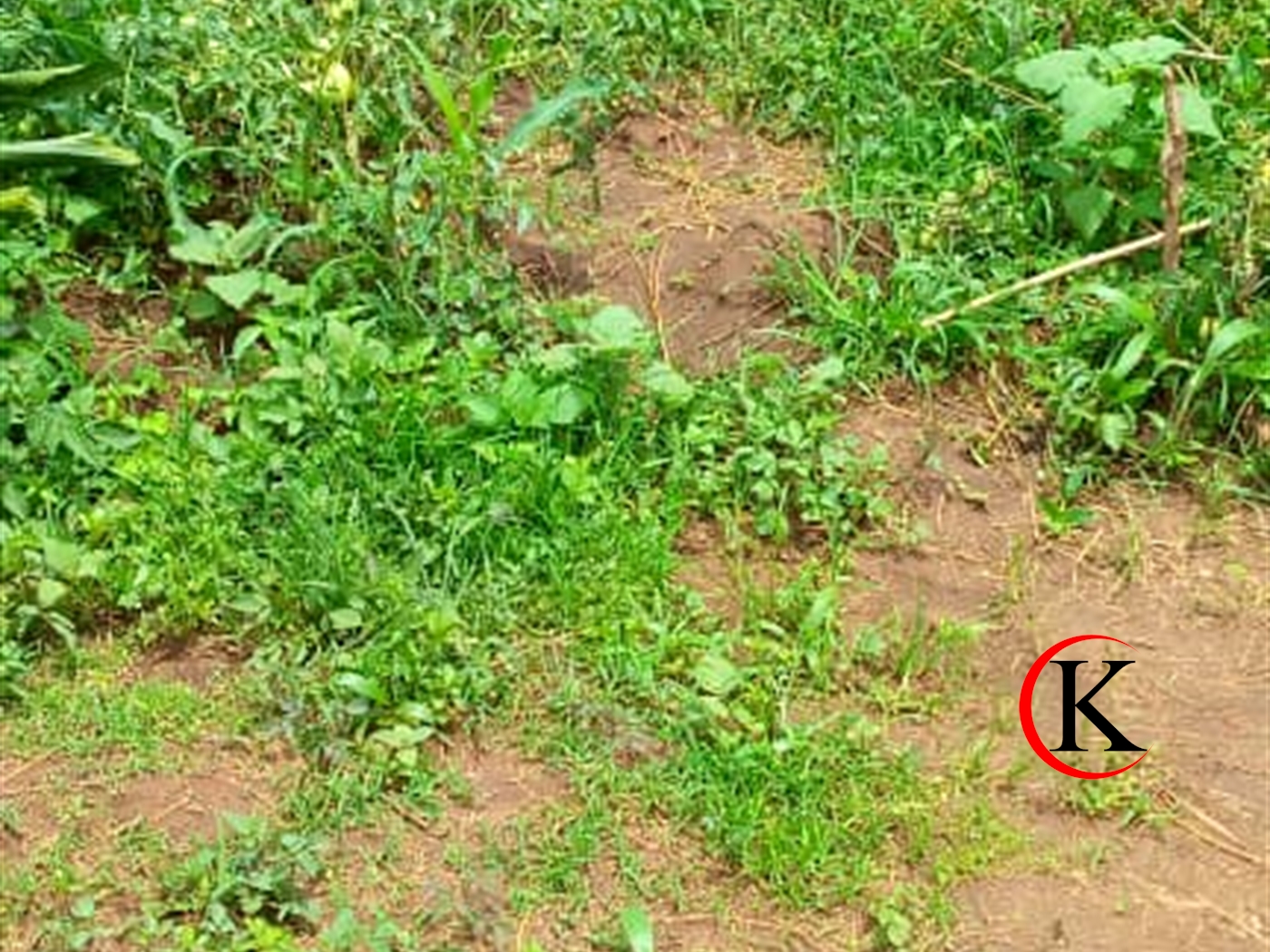 Agricultural Land for sale in Namagunga Mukono