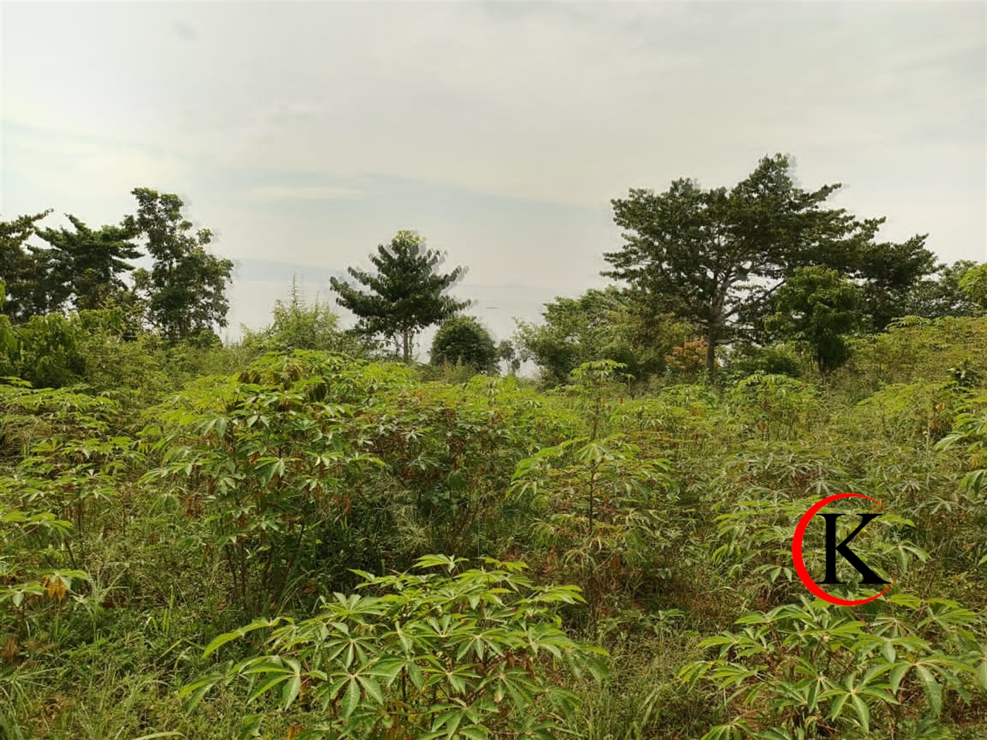 Agricultural Land for sale in Lugasa Buyikwe