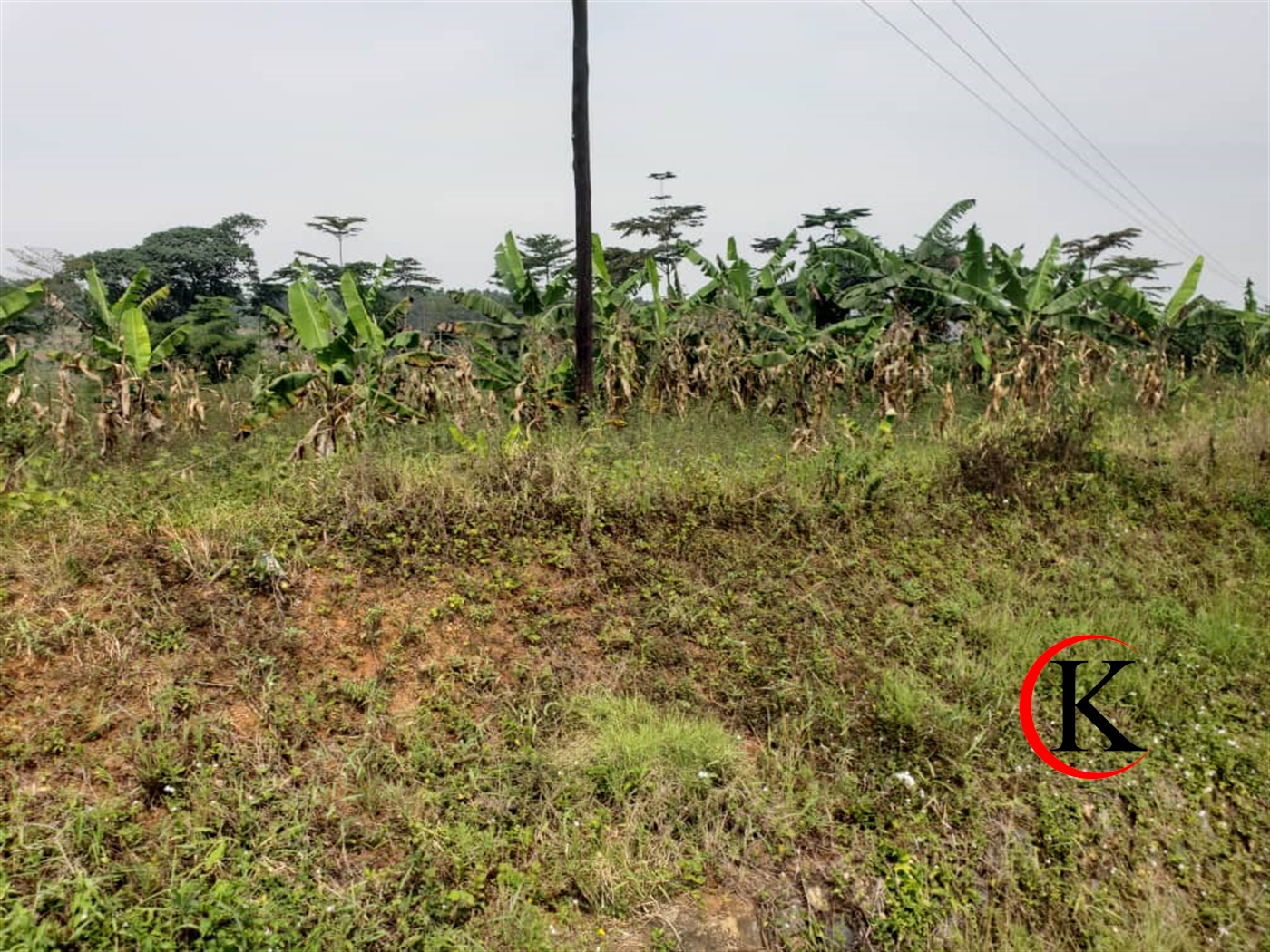 Commercial Land for sale in Nakisunga Mukono