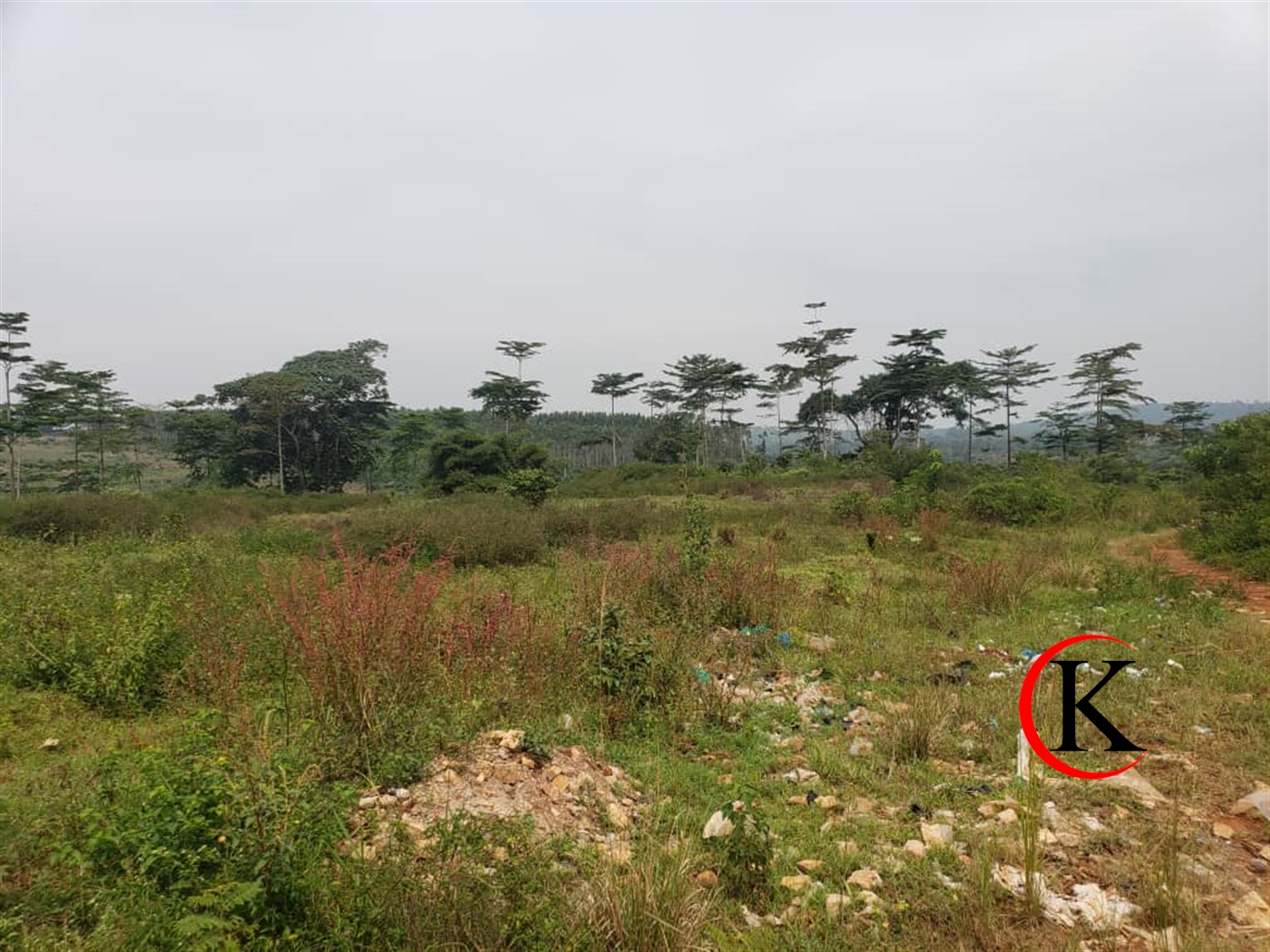 Commercial Land for sale in Nakisunga Mukono