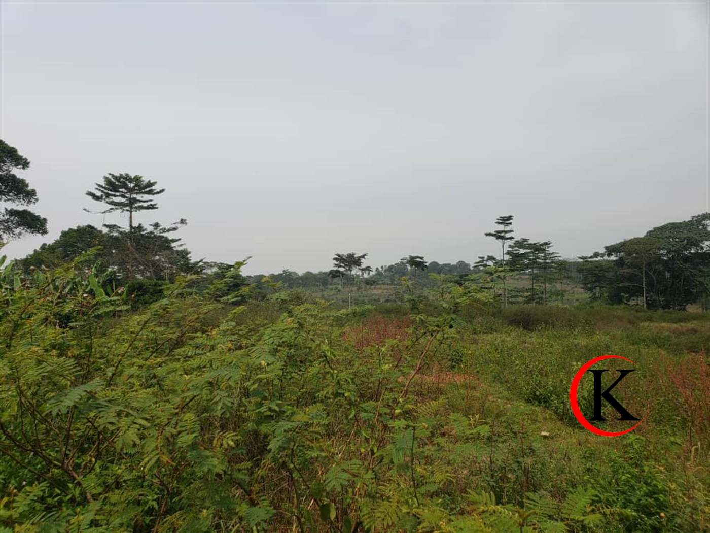 Commercial Land for sale in Nakisunga Mukono