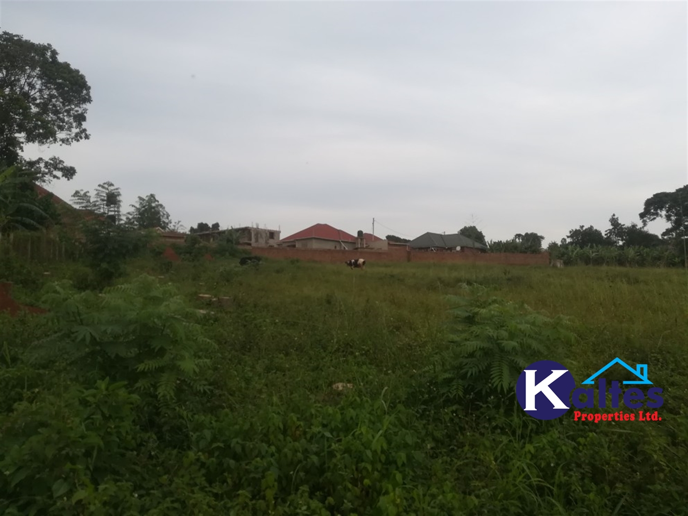 Residential Land for sale in Namayiba Mukono