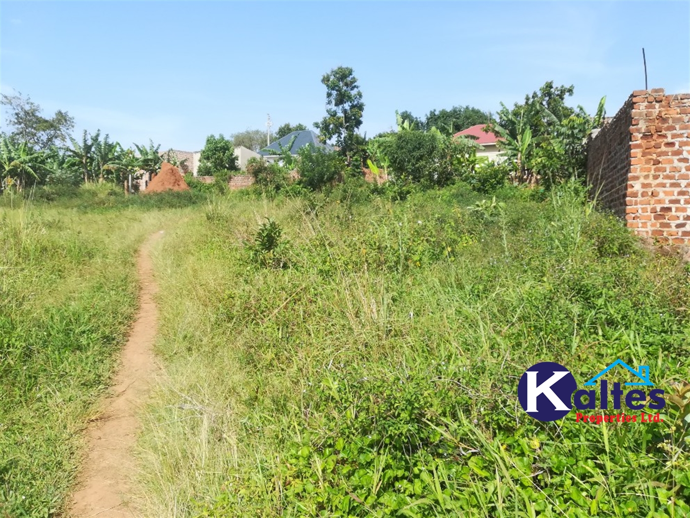 Residential Land for sale in Namayiba Mukono