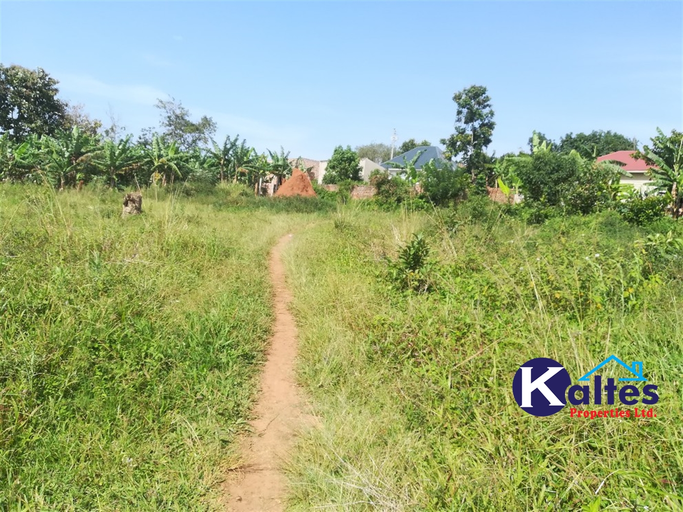 Residential Land for sale in Namayiba Mukono