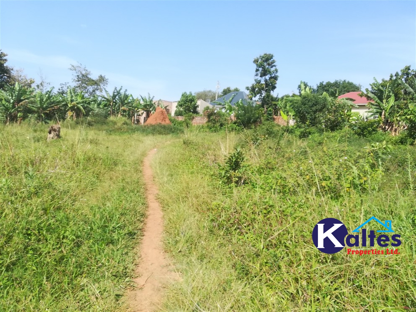 Residential Land for sale in Namayiba Mukono