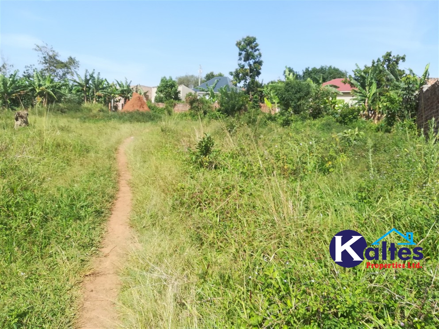 Residential Land for sale in Namayiba Mukono