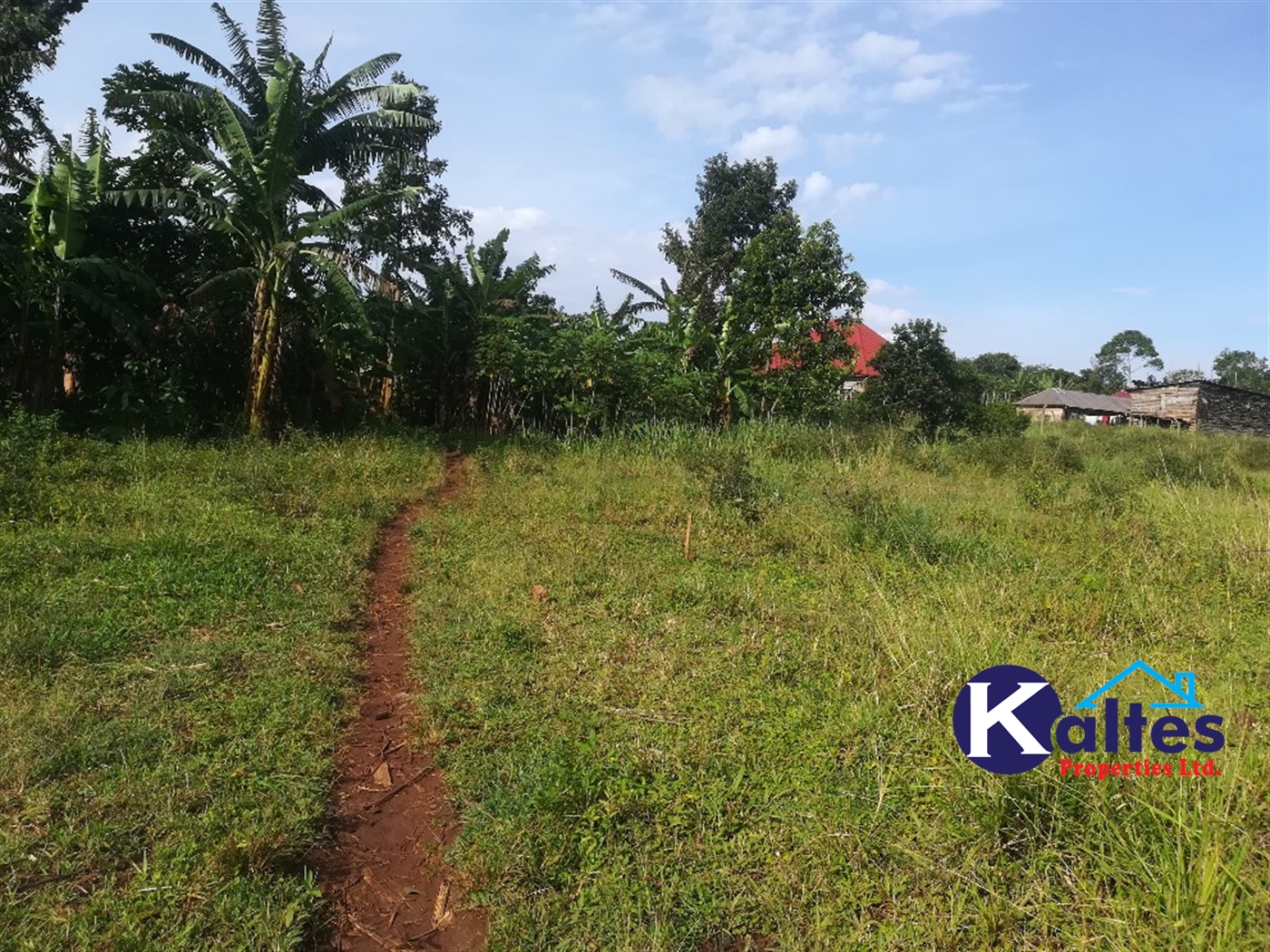 Residential Land for sale in Namayiba Mukono