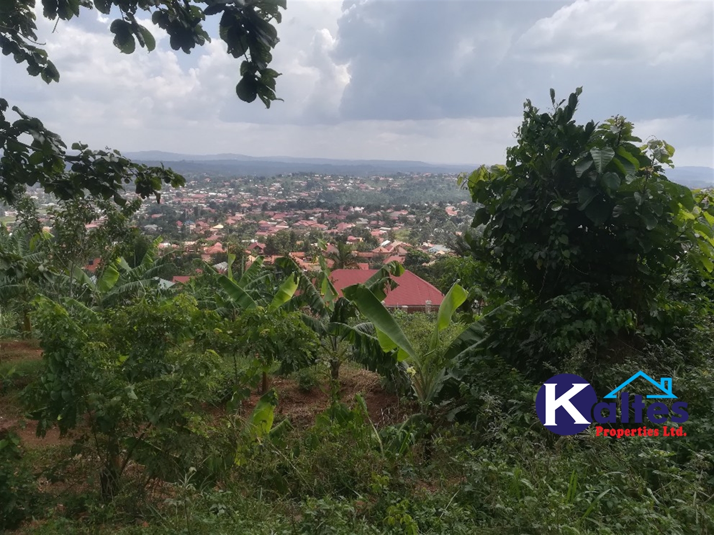 Residential Land for sale in Namayiba Mukono