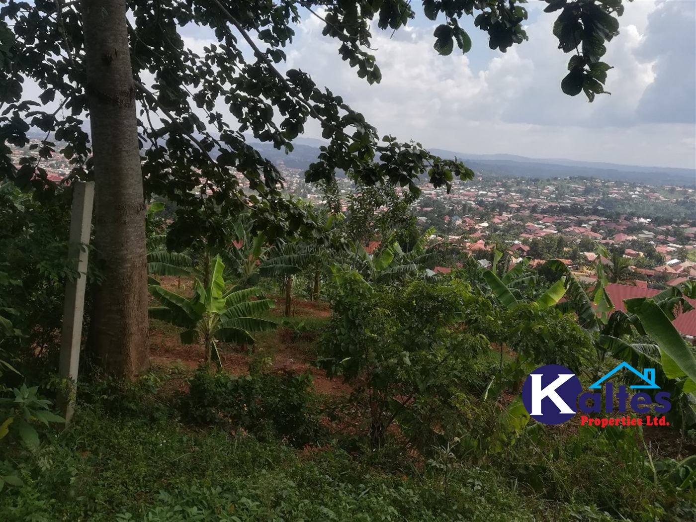 Residential Land for sale in Namayiba Mukono