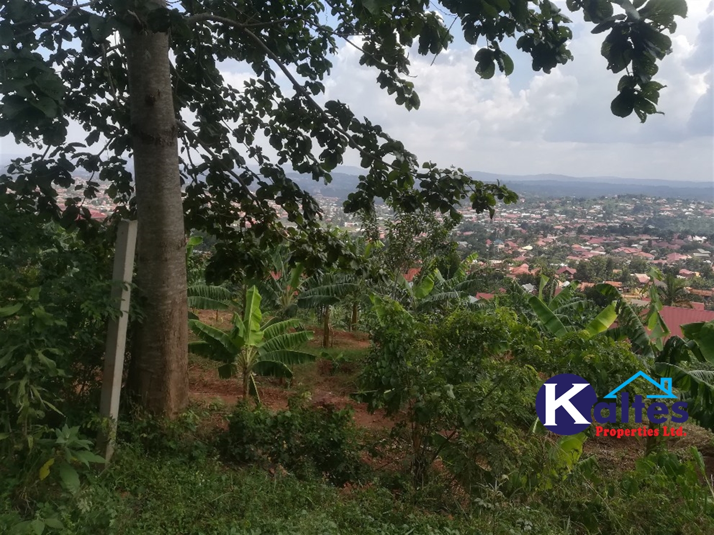 Residential Land for sale in Namayiba Mukono