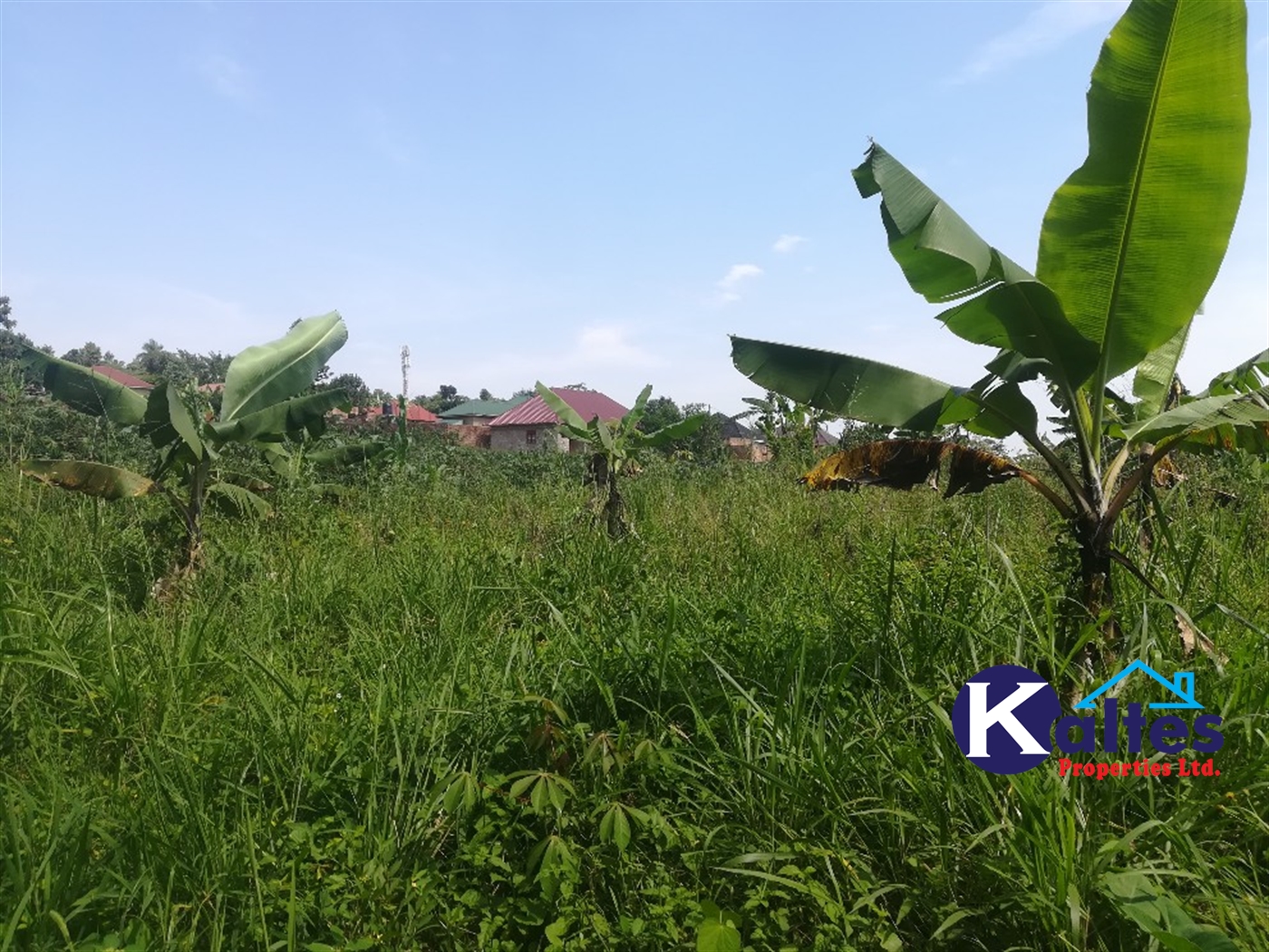 Residential Land for sale in Kisoga Mukono