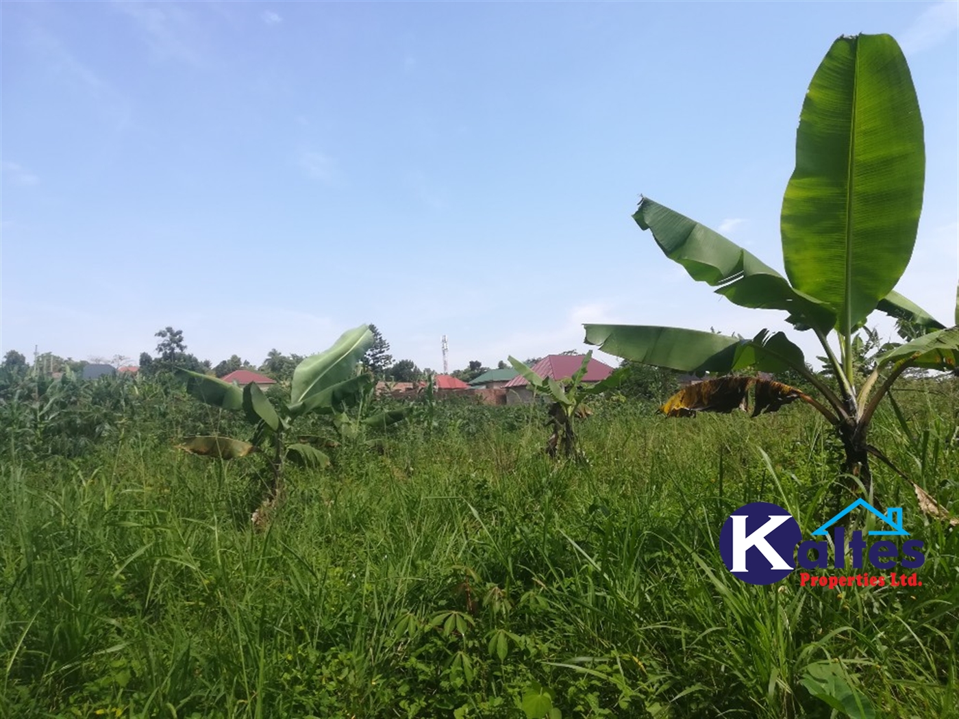 Residential Land for sale in Kisoga Mukono